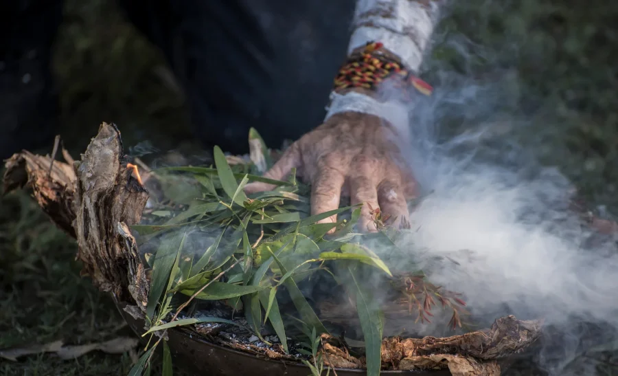 June 2025 Newsletter